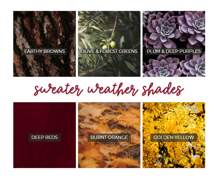 Screenshot 2024-10-29 084803