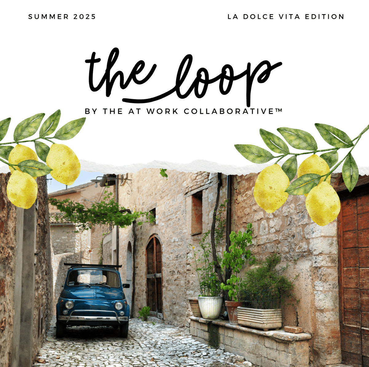 AWC Summer 2025 Newsletter