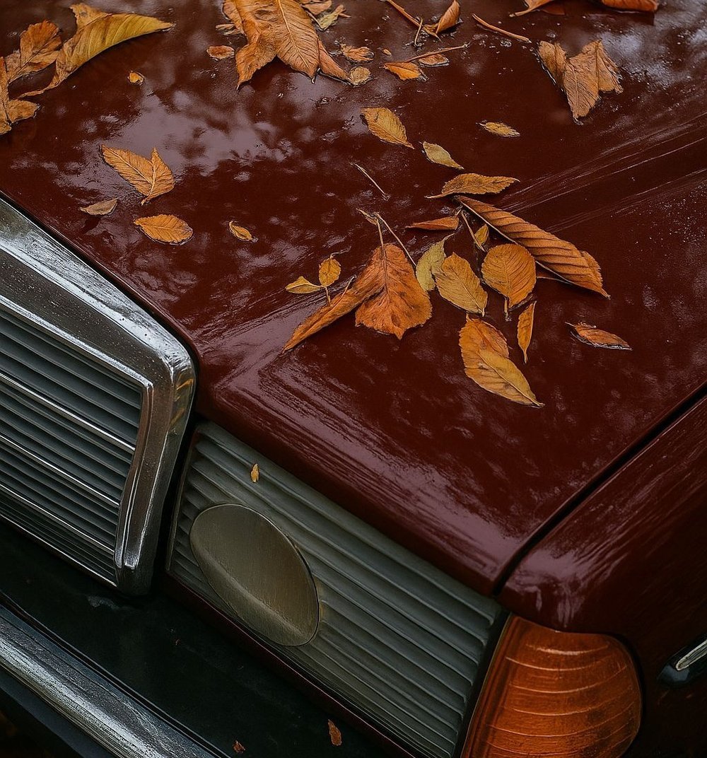 fall car
